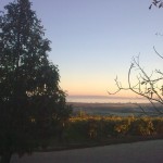 Naplemente